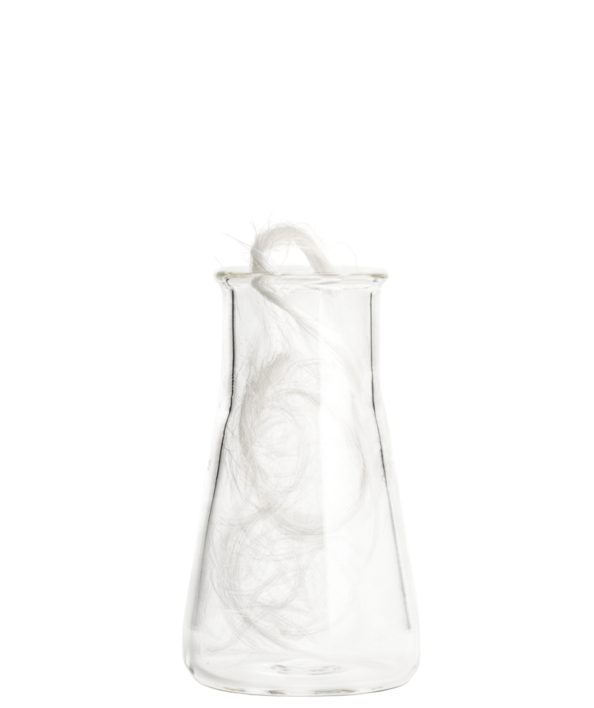 Веганський шовк